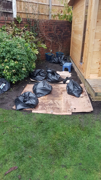 Will a multi stem amelanchiar fit in this space?