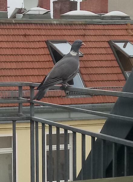 Come and tell me your dull and unexciting news 24: Calmly through the day 