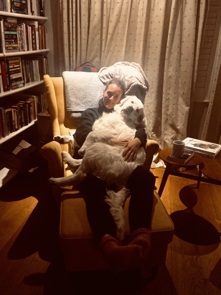 Puppy Survival Thread - as we approach Fireworks night for the first time…