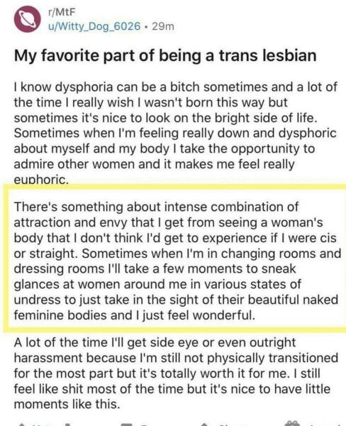 All women/women and transwomen. How do the dynamics change?