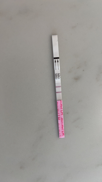 TWW 4 DPO - anyone testing mid January?