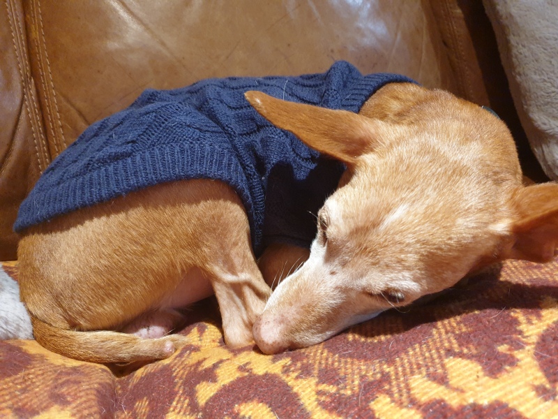 Wearing a jumper overnight in a cold room