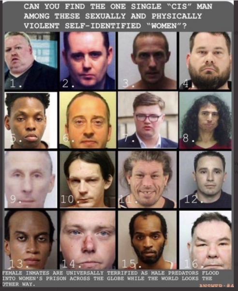 '...the public are struggling to understand how a rapist can be put into a female prison'