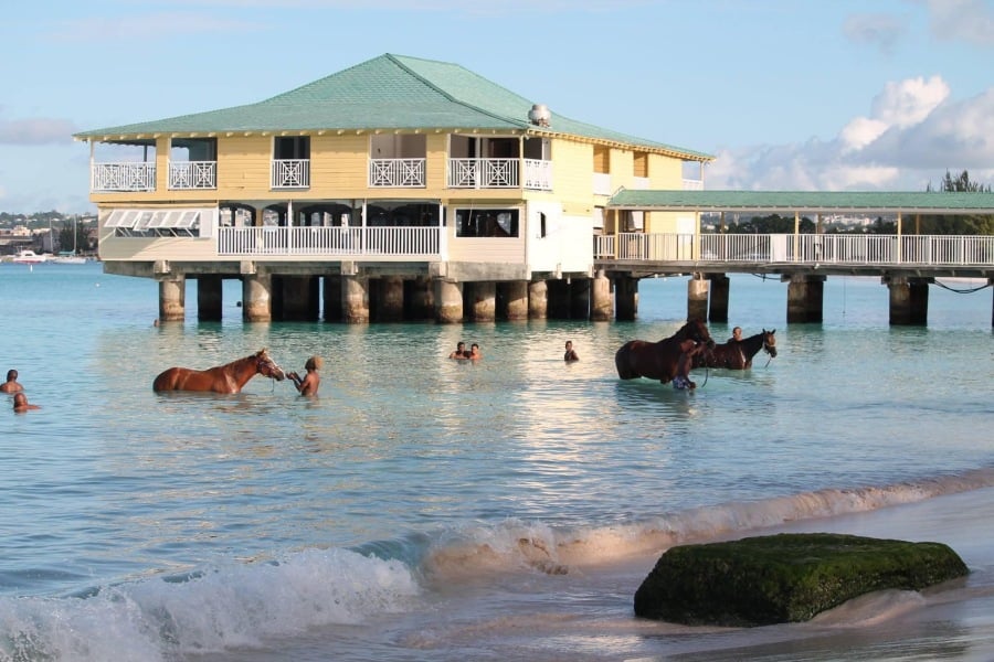bit bougie - tips for Barbados for Feb half term ? Booked in 2019 !