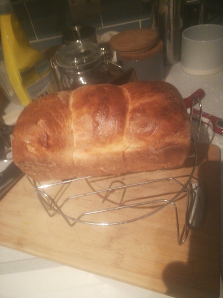 Thread 4 - TalkExiles: "The Planet Goes On Being Round"