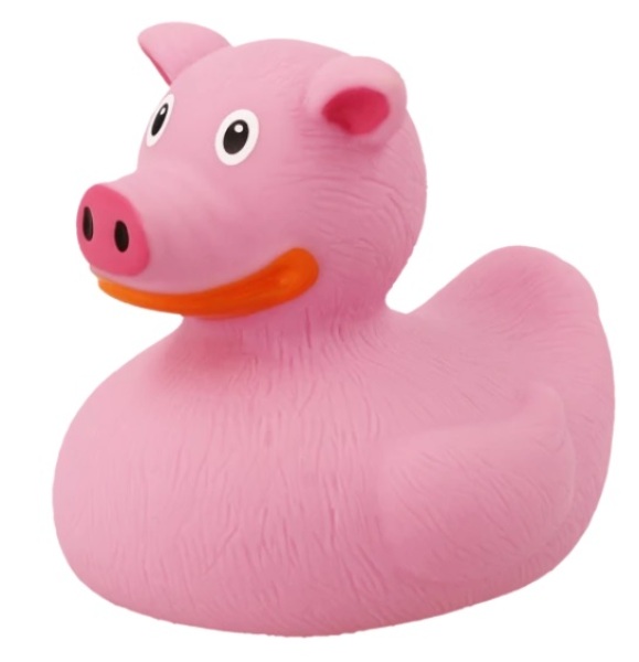 AIBU to carry on ‘white’ lie about crispy aromatic duck to the DC? 