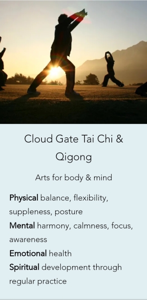 Has anyone learnt Tai Chi online?  What do you recommend?