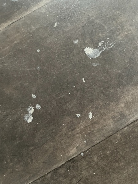 Getting paint splashes off lino(?) flooring - photo