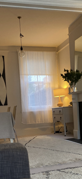 Massive mistake re window blinds