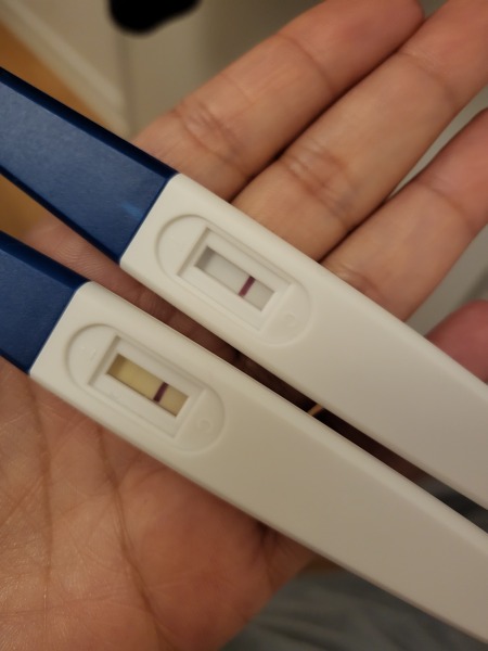 FET/IVF - January 2023