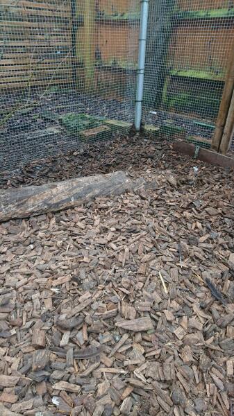 Stinky, horrible, waterlogged chicken run - advice / opinions please