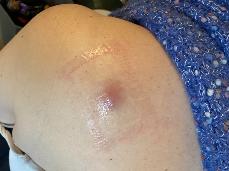 Cultivating a Sporner’s Delight