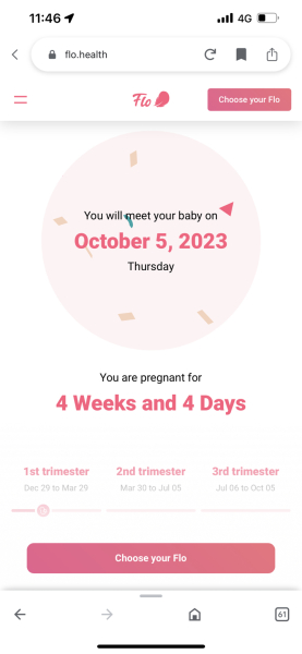FET/IVF - January 2023