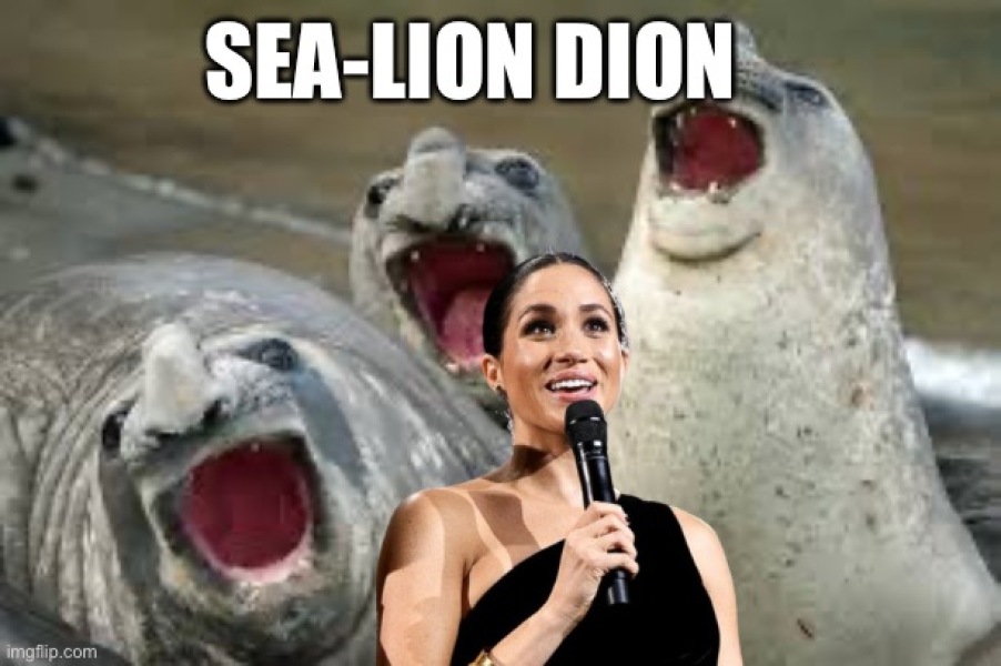 Seals- am I not magical?