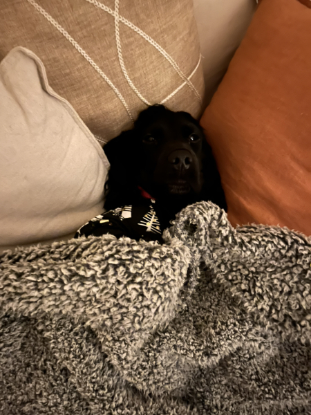 Wearing a jumper overnight in a cold room