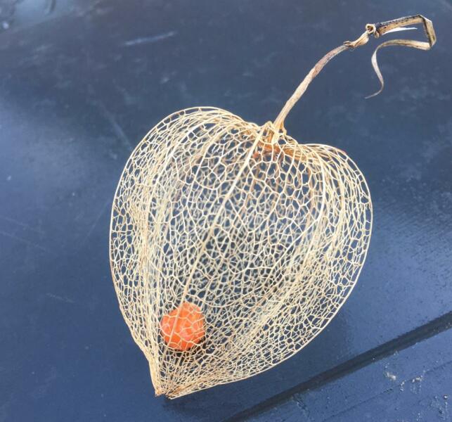 Come and tell me your dull and unexciting news 24: Calmly through the day 