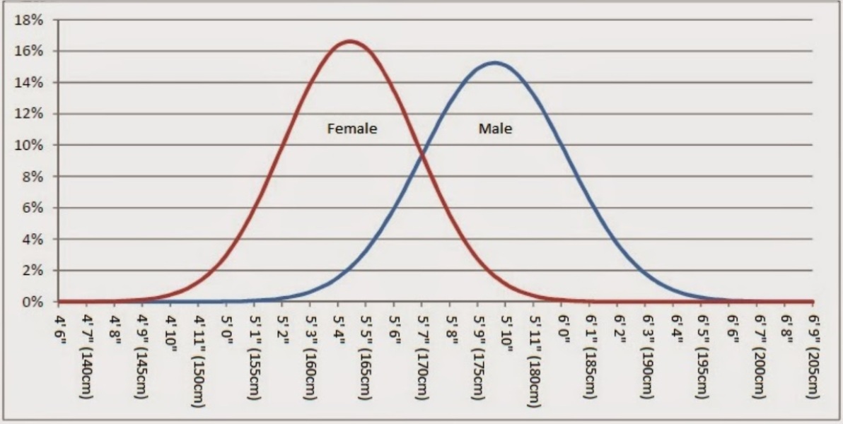 to wonder if a 5’7 female is ‘big’ 