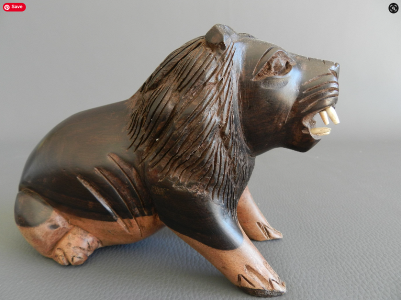 To insure my lion? Photo