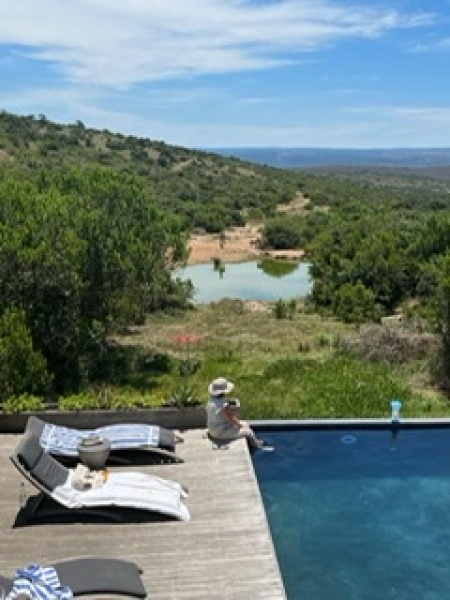 Safari with toddler and baby