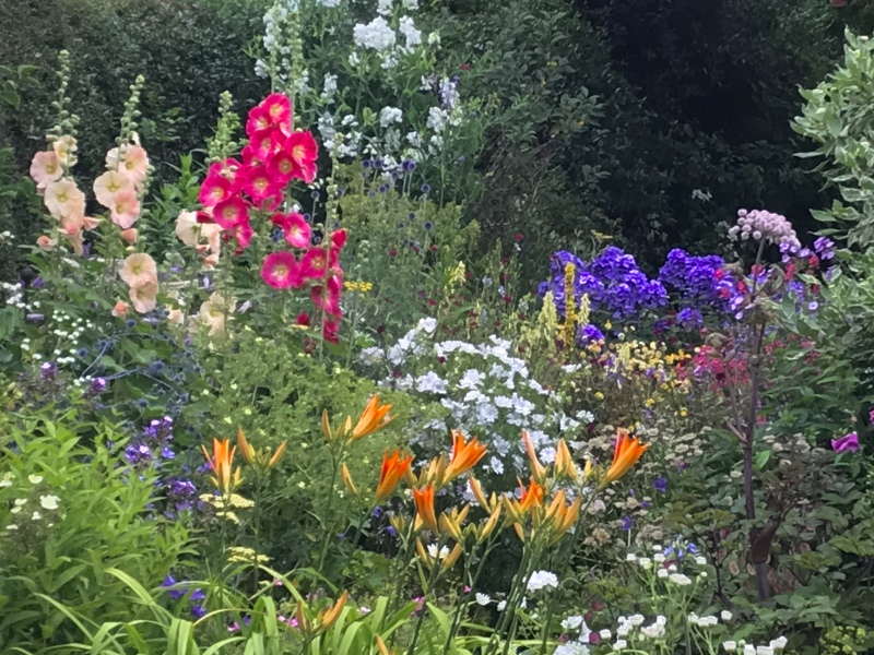 What's your favourite gardening book?