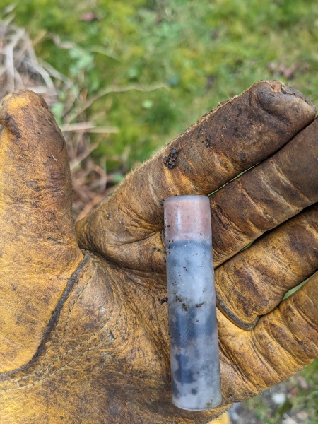 What are these that I found in my front garden?