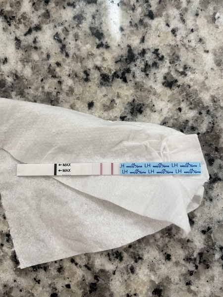 January Testers (TTC September/October🎃🍂)