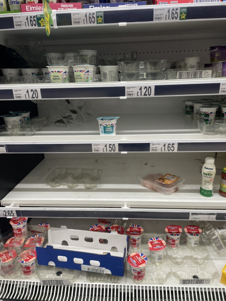 Jan 2023 Low Carb Bootcamp - Week 1!