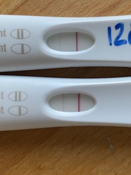 BFP getting fainter - 🌈 pregnancy