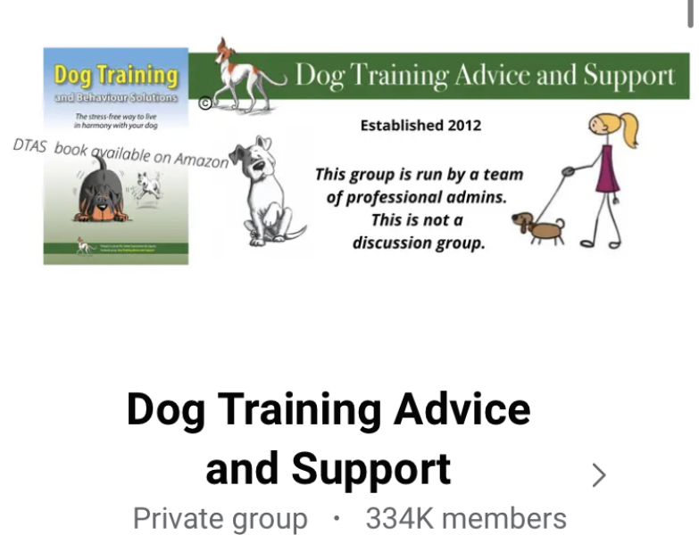 To regret taking on dog and potentially rehome?