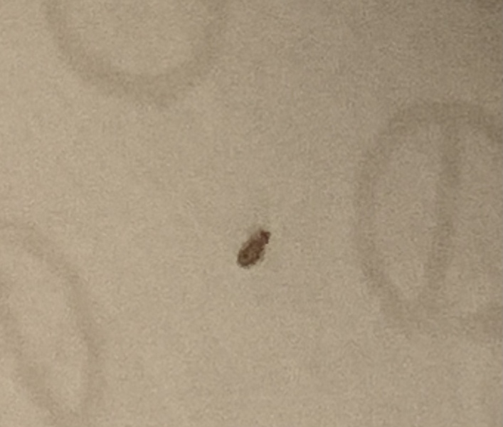Help! What is this?
