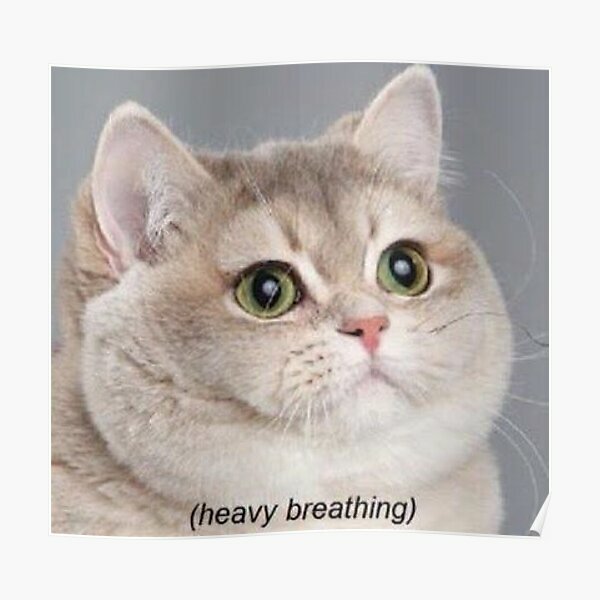 I need to know how to make cheese sauce 