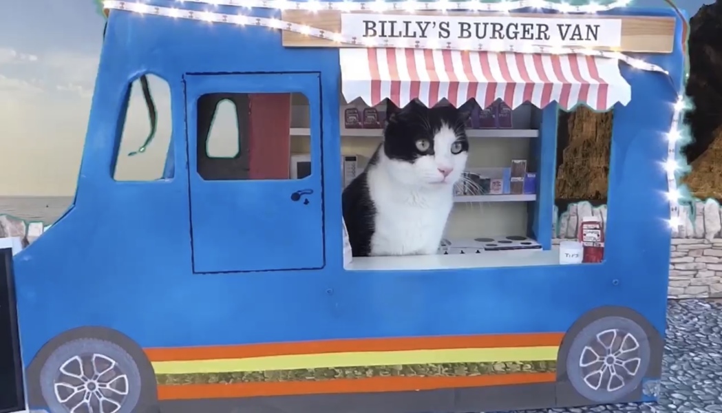 Can we have a cat photo thread ? I’m thinking of getting a cat 