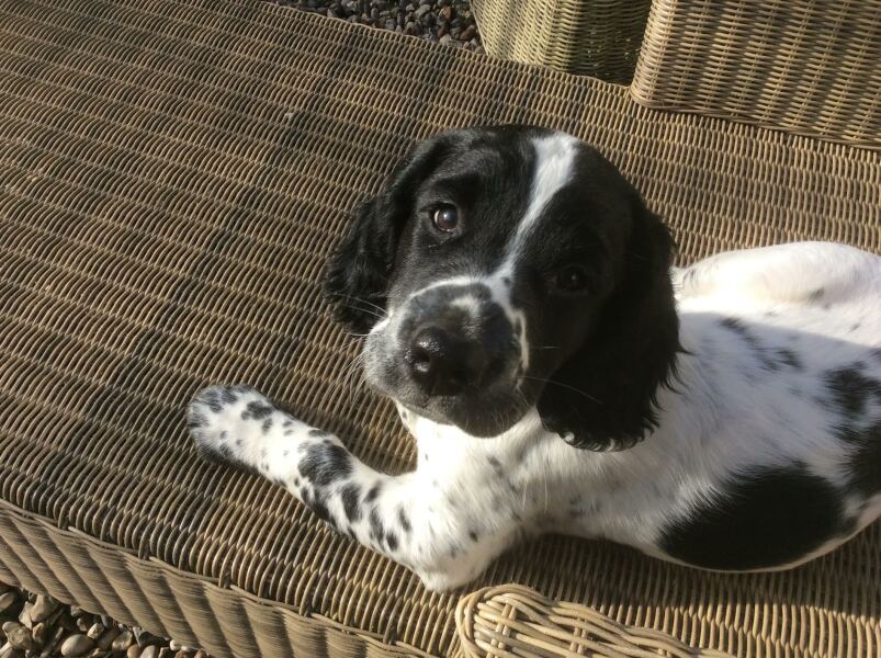 Thread 4 - TalkExiles: "The Planet Goes On Being Round"