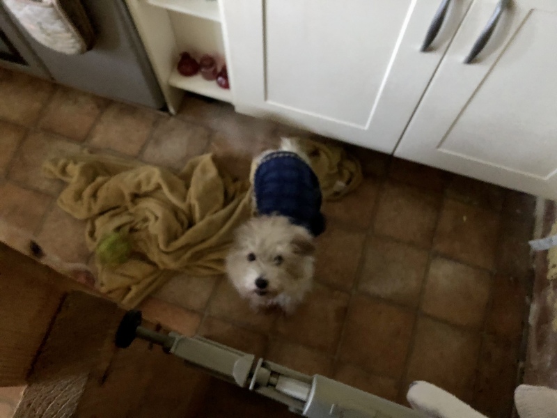 Wearing a jumper overnight in a cold room