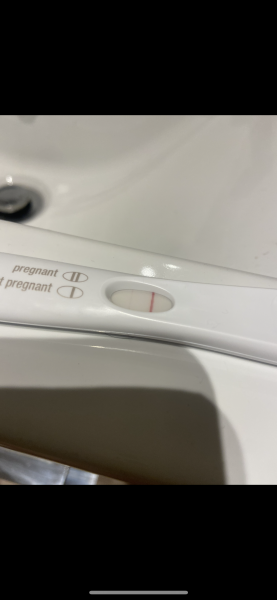 12 DPO - FL on FRER, Pregnant on CB Digital Early Detection, NP on CB weeks  