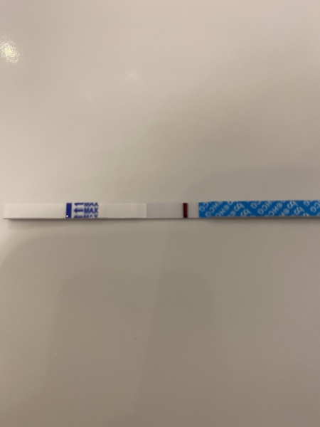 January Testers (TTC September/October🎃🍂)