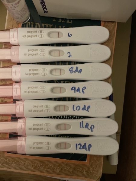 FET/IVF - January 2023