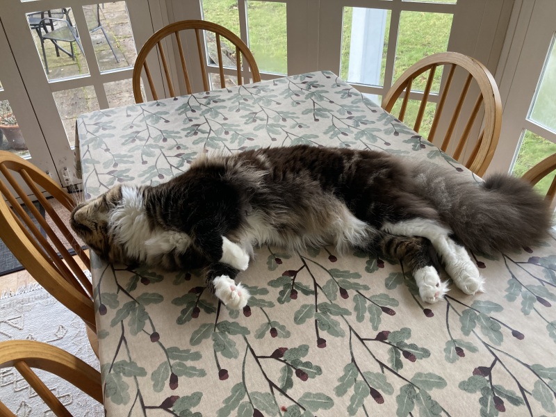 Come and tell me your dull and unexciting news 24: Calmly through the day 