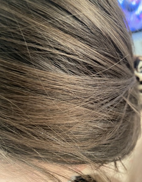 Brown to Auburn hair ?! (Pics)