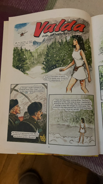 A really obscure ‘help me remember this book’