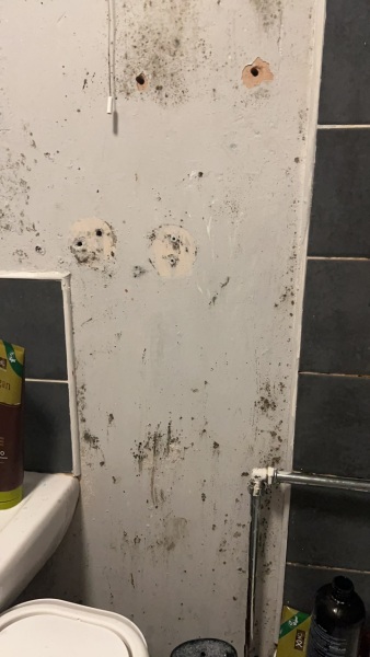 At my wits end with mould !!
