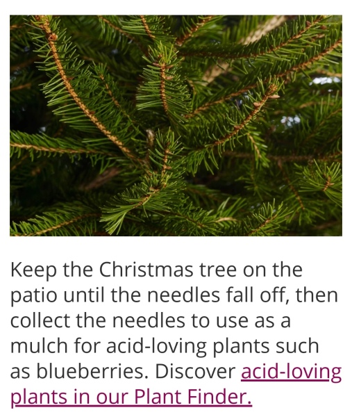 New Year's Gardening Plans Resolutions?