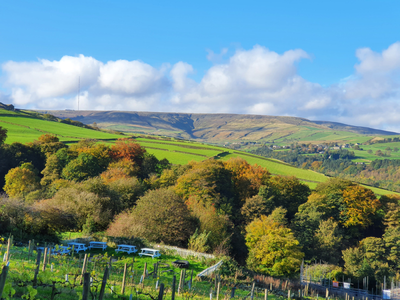 Yorkshire 