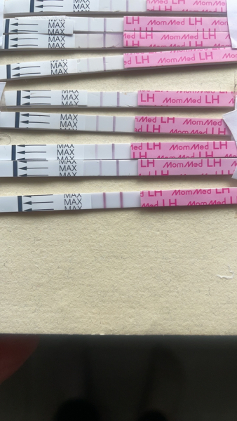 Ovulation test opinion