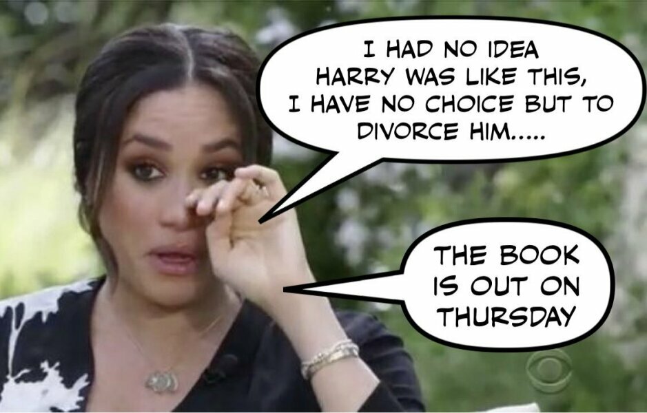 Meghan's book