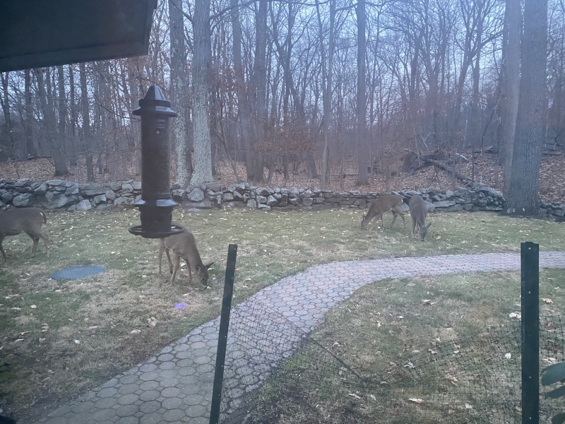 Come and tell me your dull and unexciting news 24: Calmly through the day 