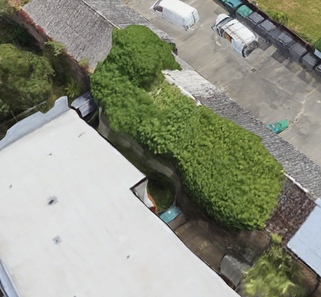 UK Rules/laws on Hedges, Ivy & Roots Growing into our Garage