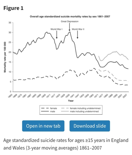 To wonder what people did before antidepressants?