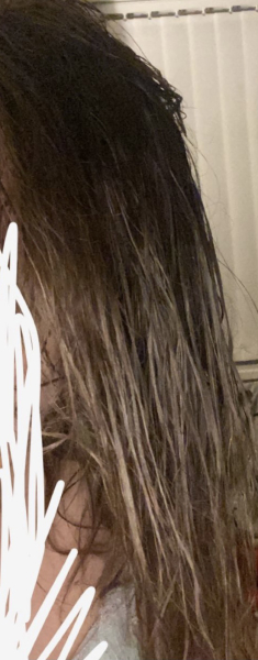 Would you go back to hairdressers?(pics included)