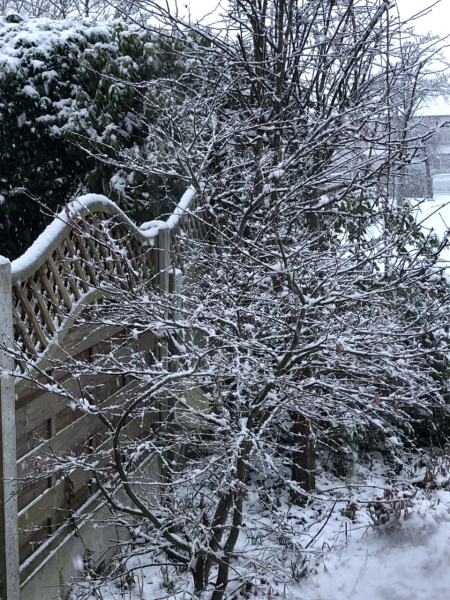 Winter Weather Outlook. Part 2: Into January '23